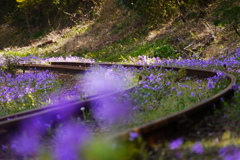 花の鉄路