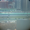今日はこんなん撮れました。