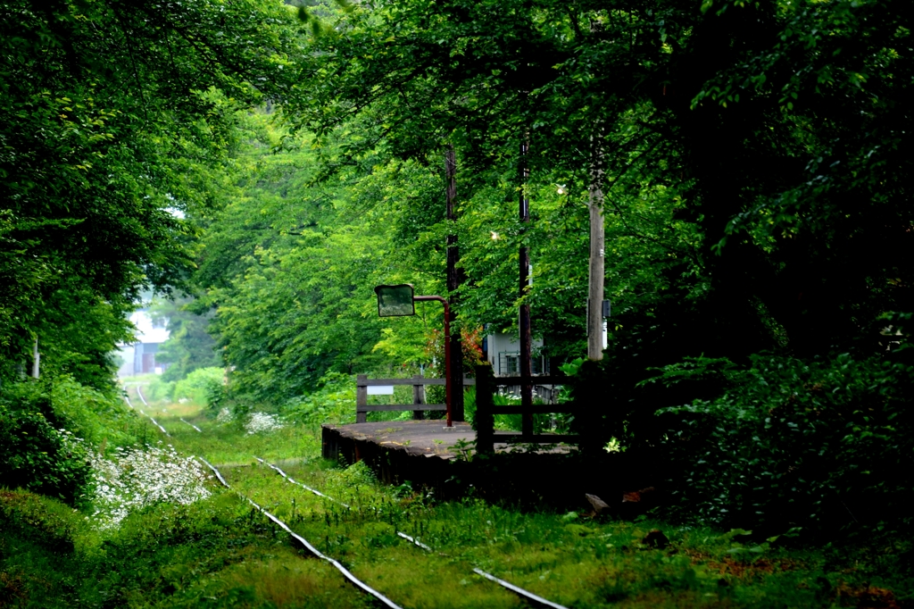 杜の駅