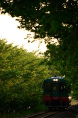 夕陽の主張