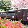 トロッコ列車