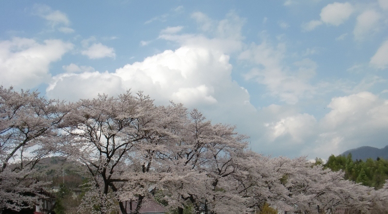 春の嵐の前触れ