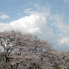 春の嵐の前触れ