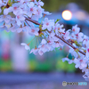 夕暮れ前