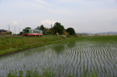 日常風景