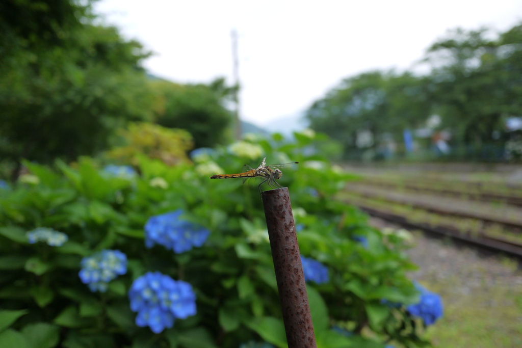 こっちも休憩中～