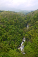 霧降の滝