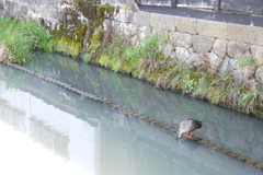 静かな水面