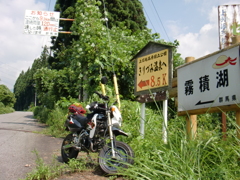 かの有名な・・・