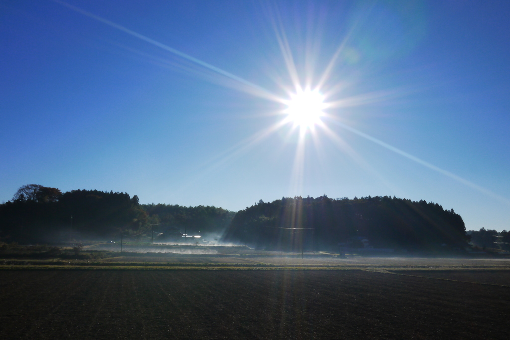 里山の朝