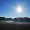 里山の朝
