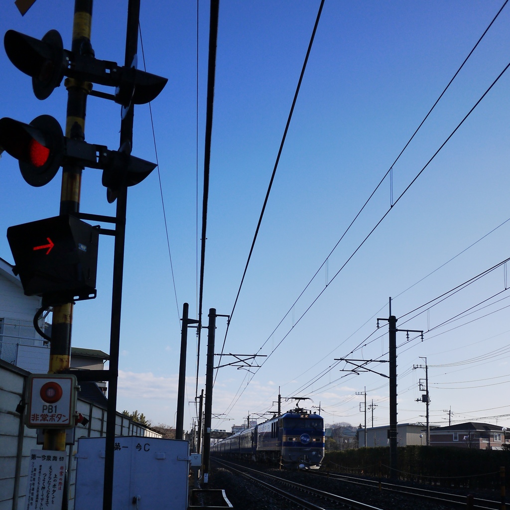 本当は・・・