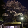 ひとりの夜