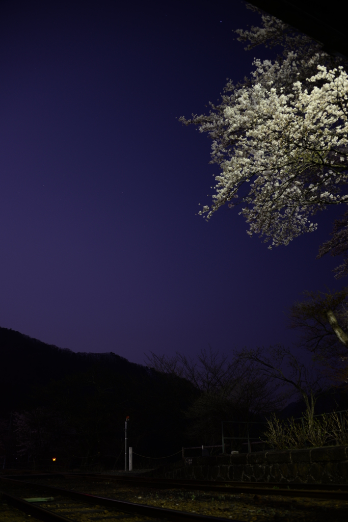 群青の夜