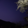 群青の夜