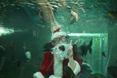 水中からメリークリスマス☆