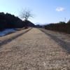 わだちは続くよ・・・