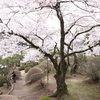 よきかなよきかな