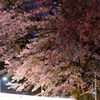 夜桜～再び～