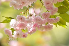 在庫さがし