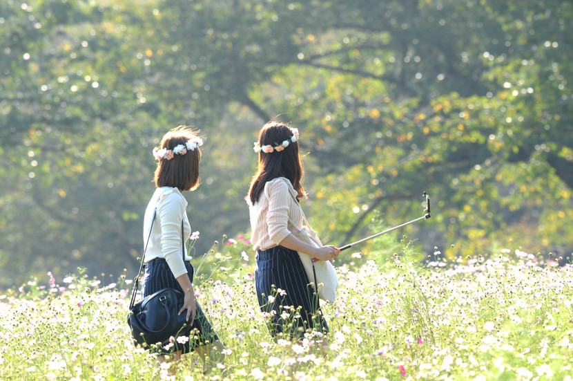 花かんむり