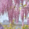 藤物語