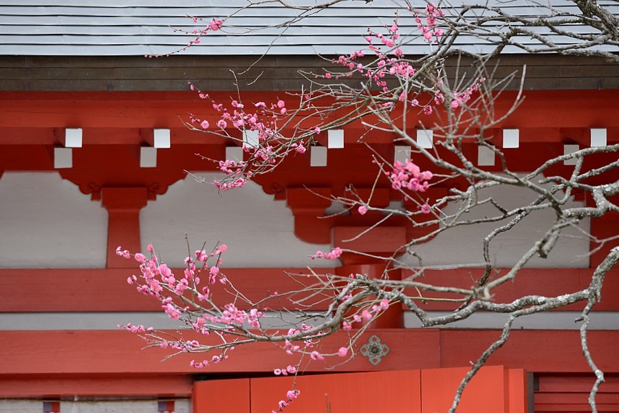 鎌倉　荏柄天神社