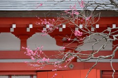 鎌倉　荏柄天神社