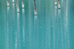 青い池 青い池