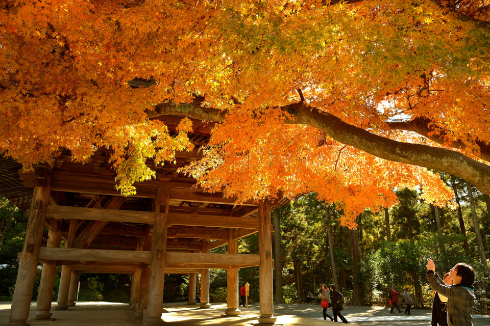 円覚寺　山門　
