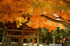 円覚寺　山門　