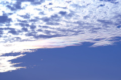 コスモスを見た雲 コスモスを見た雲