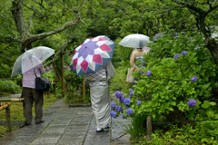 雨の東慶寺