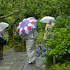 雨の東慶寺