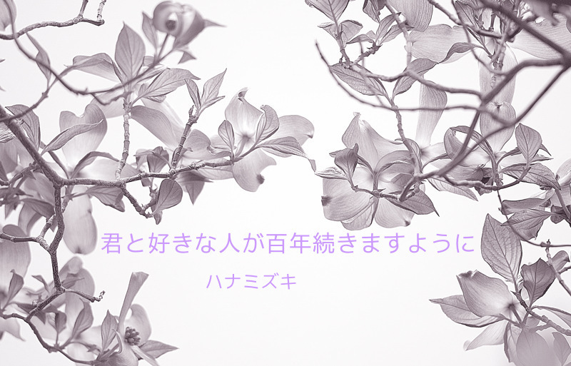 ハナミズキ