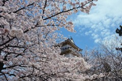 小田原城