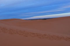 在庫さがし
