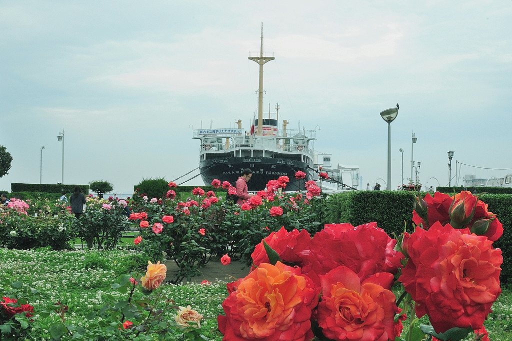 横浜　山下公園　氷川丸