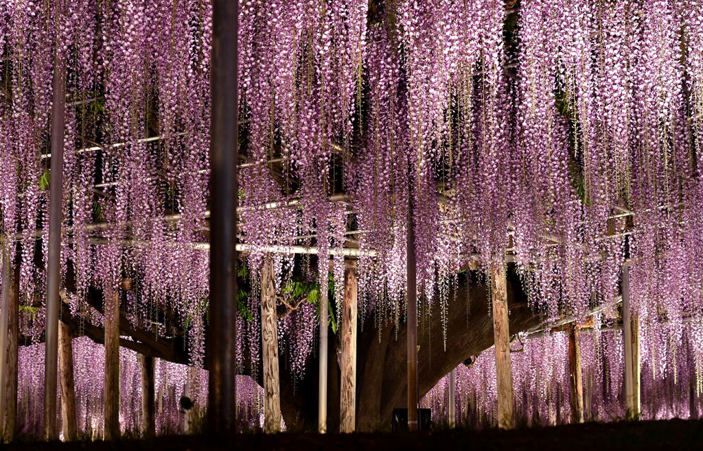 在庫さがし