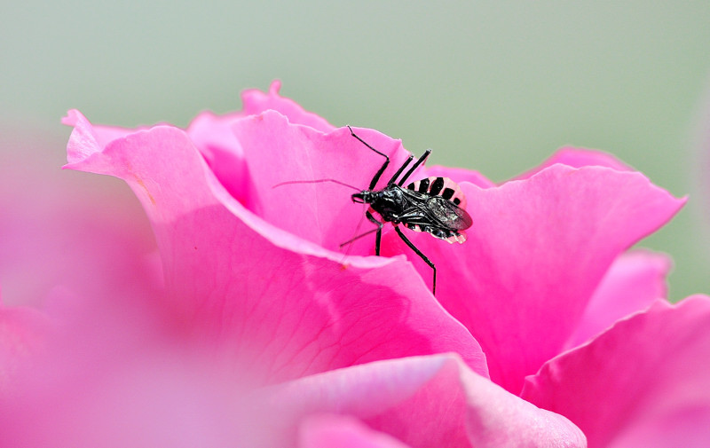 さあ・・・・・