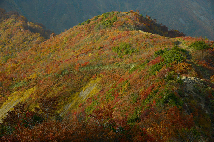 谷川岳　天神平
