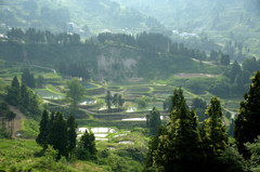 思い出の山古志村