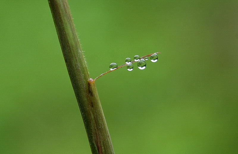 水滴