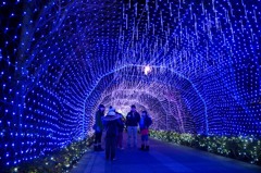 ブルーライト ブルーライト