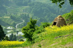 思いでの山古志村