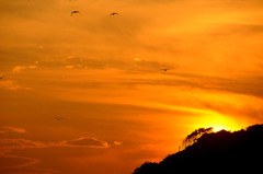 湘南の夕日