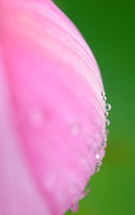 水滴
