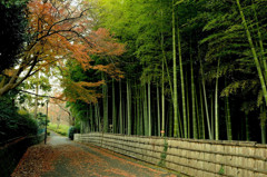 近所の公園
