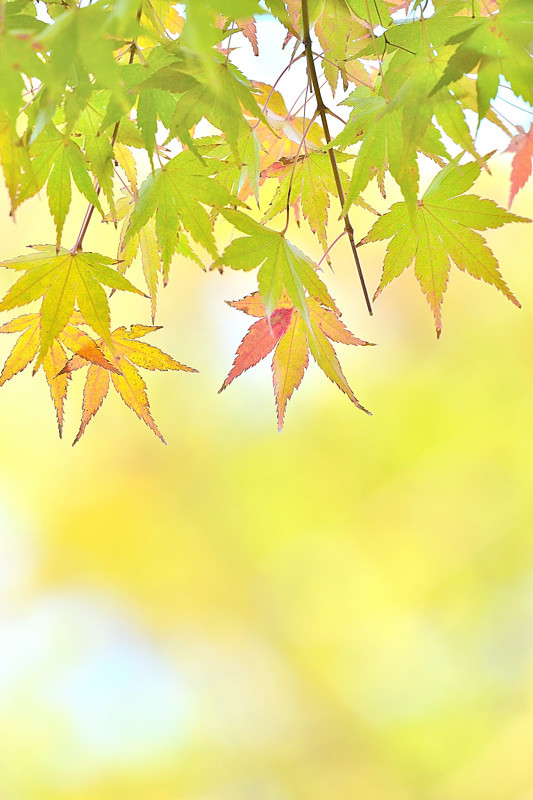 少しずつ