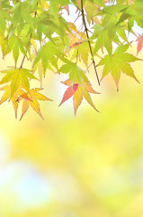 少しずつ